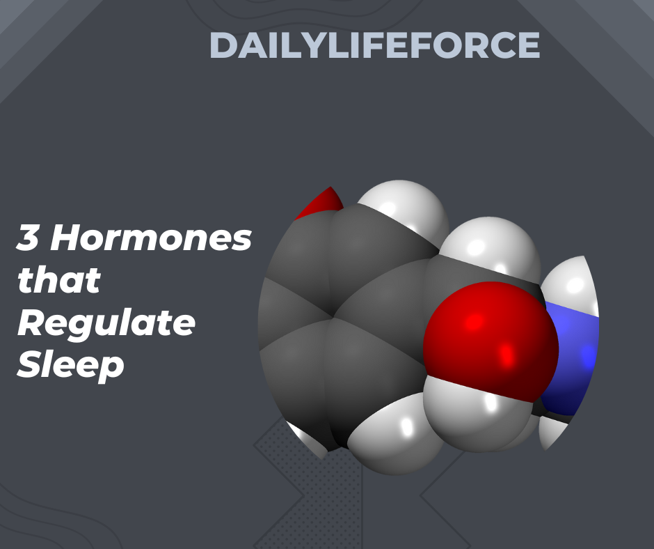 3 Hormones that Regulates Sleep