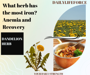 Dandelion is a good source of iron