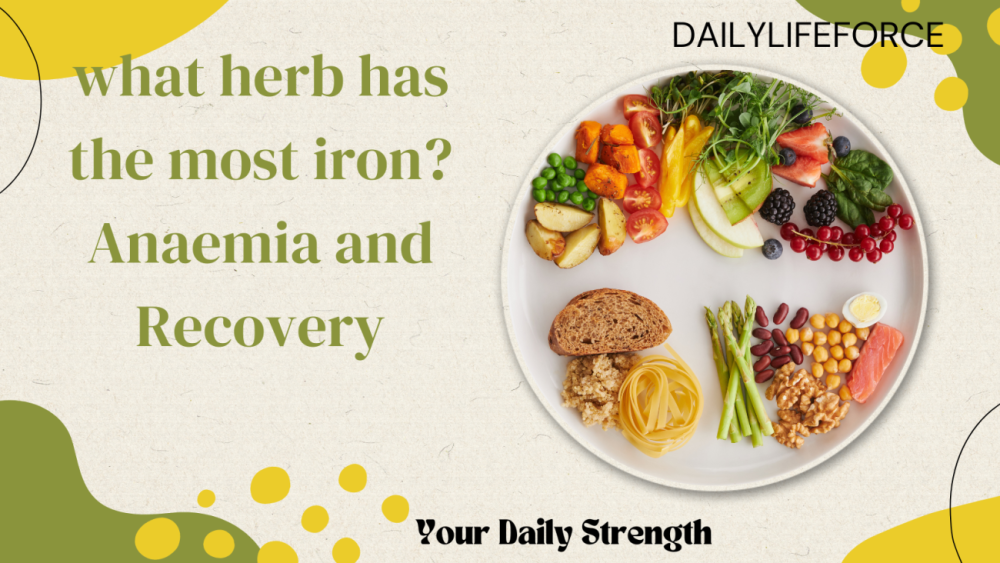 What Herb has the most Iron? Anemia and Recovery