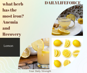 Lemon increases iron levels