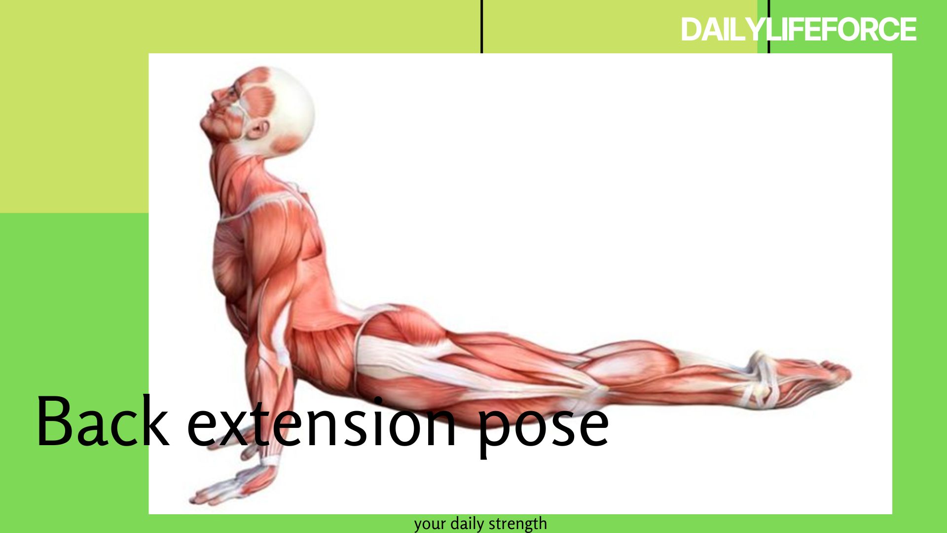 Stretching Exercise for Flexibility