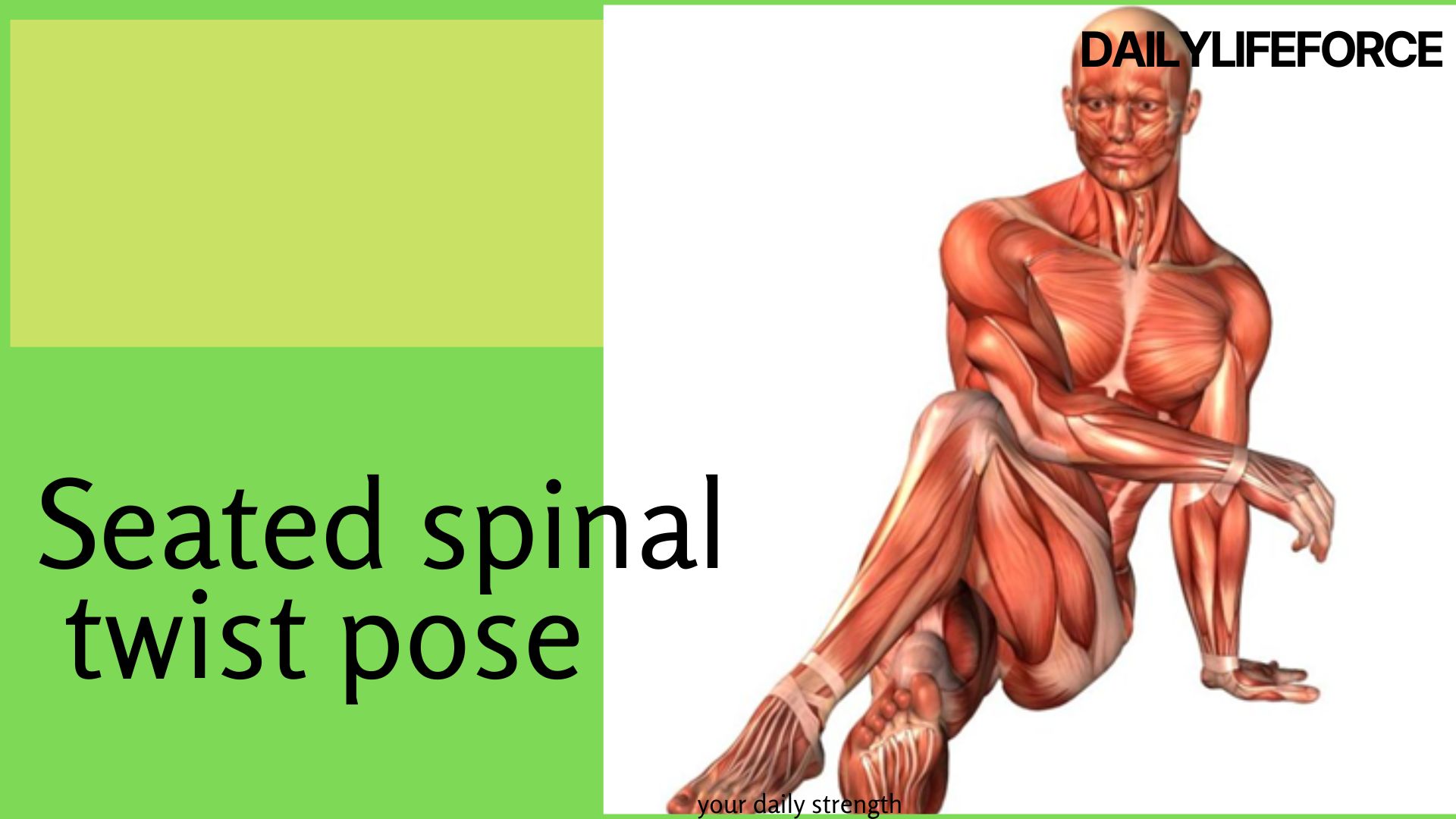 Seated spinal twist pose