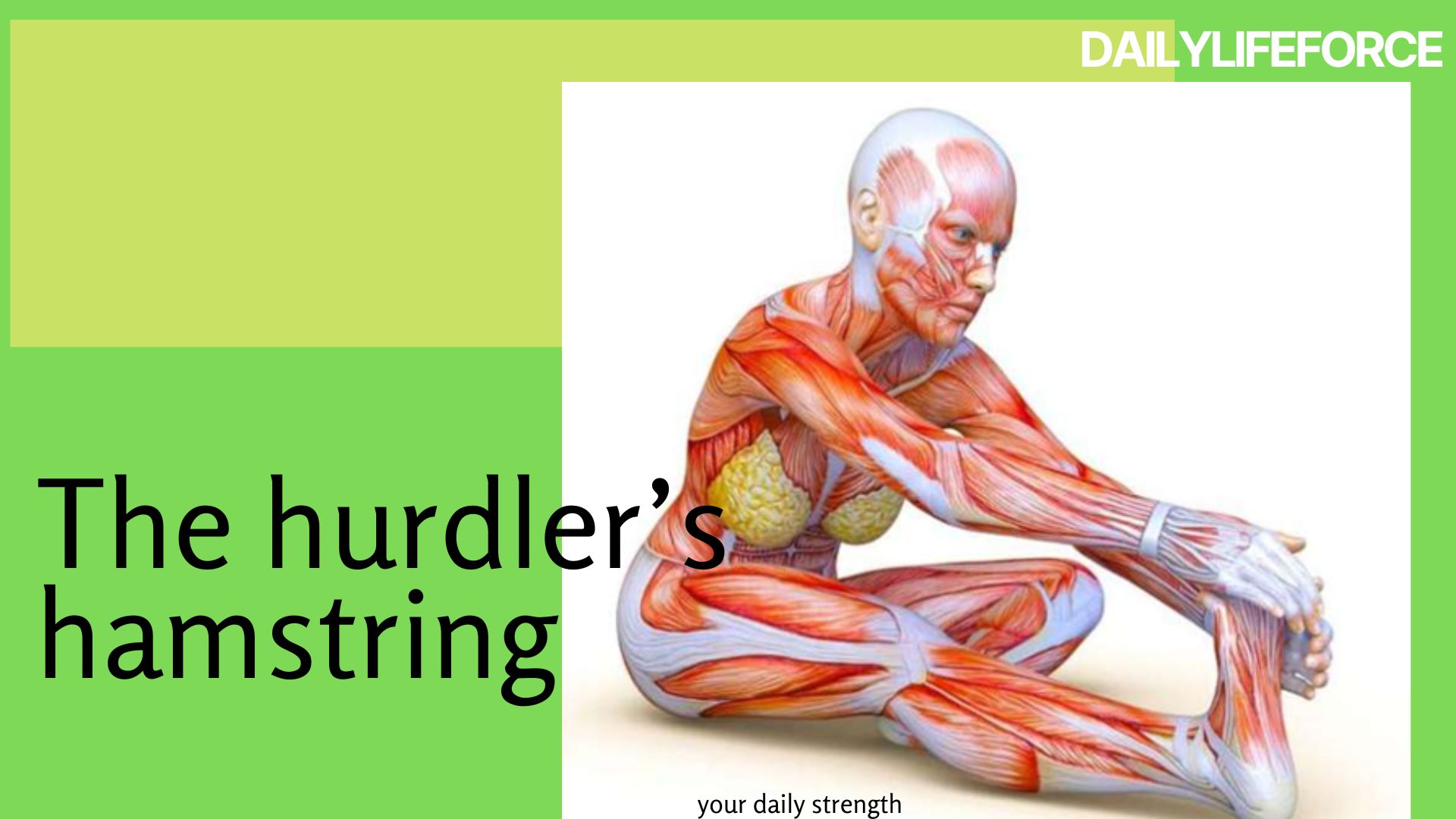 Stretching Exercise for Flexibility